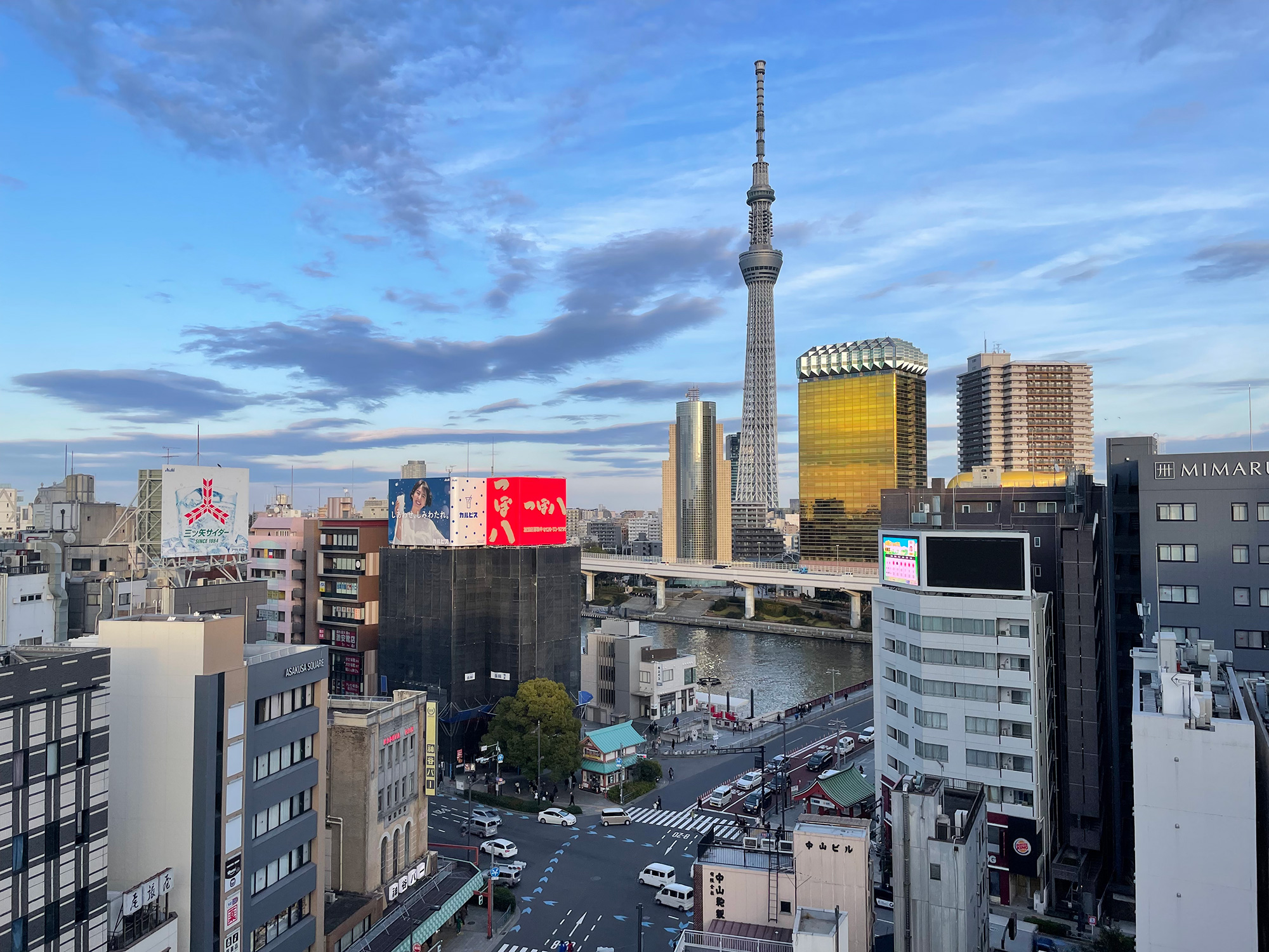 Looking out over Asakusa