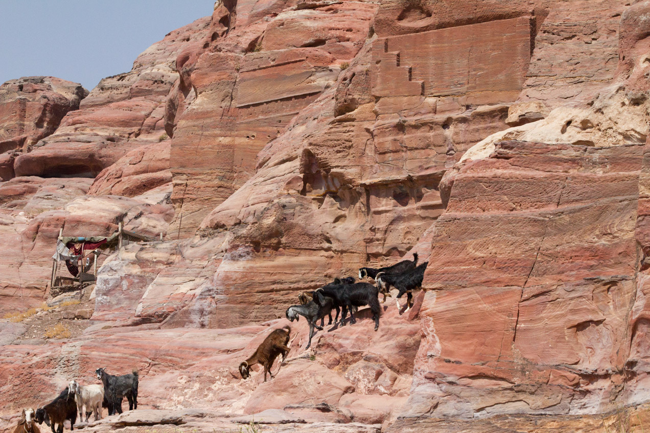 Sunrise across the desert