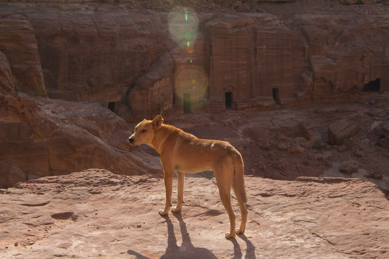 Sunrise across the desert