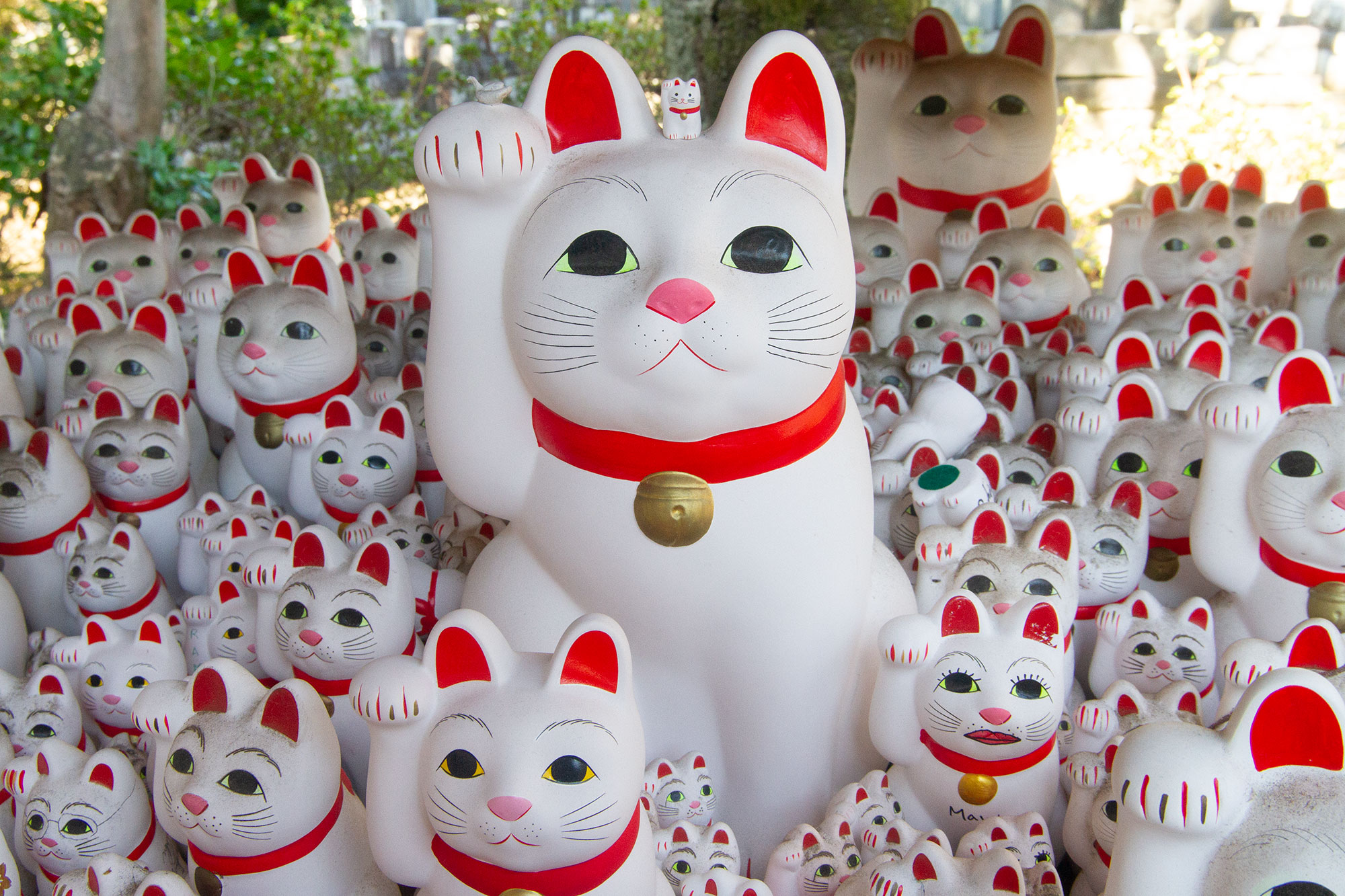 Maneki-nekos aka Lucky Cats