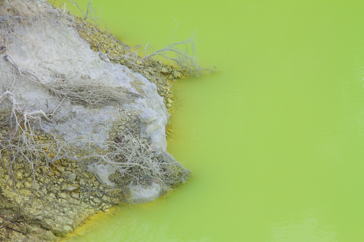 Bright green water in Rotorua