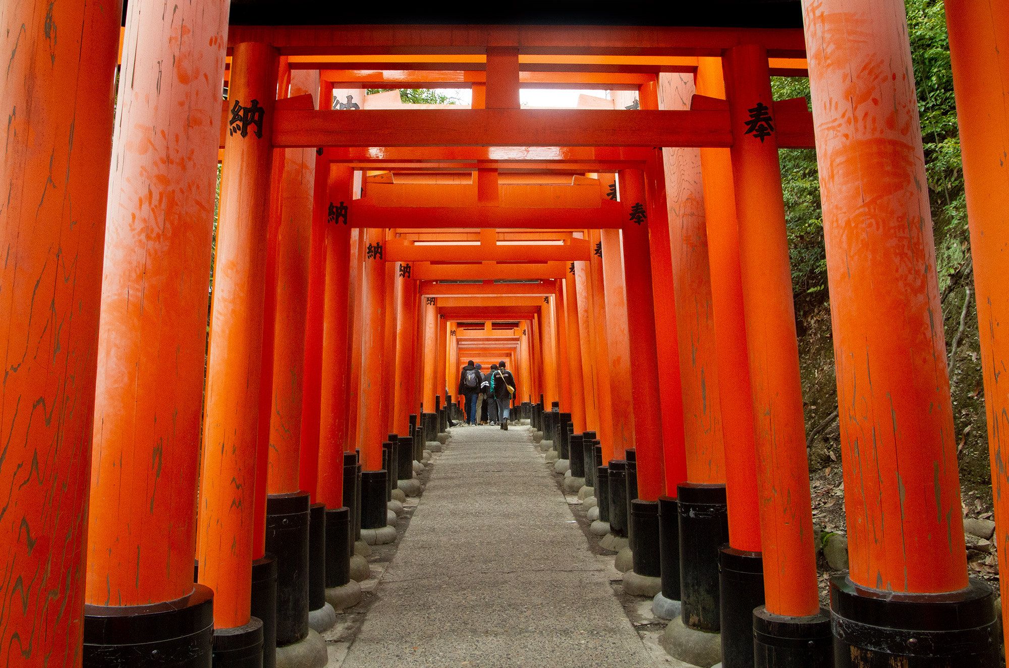 Tori gates at Fushimi Inari Taisha shrine