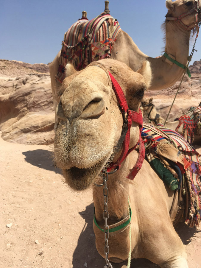 Sunrise across the desert