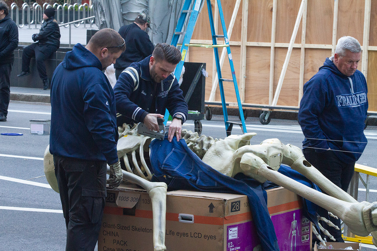 Skeleton assembly