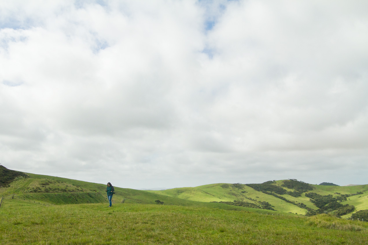 Rolling Hills of Cape Reinga