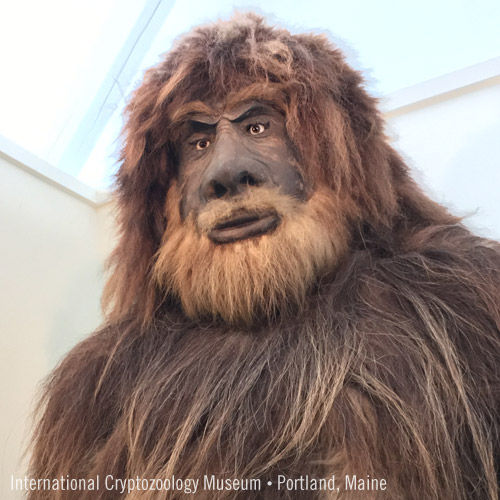 International Cryptoology Museum