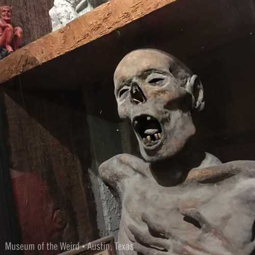 Museum of the Weird