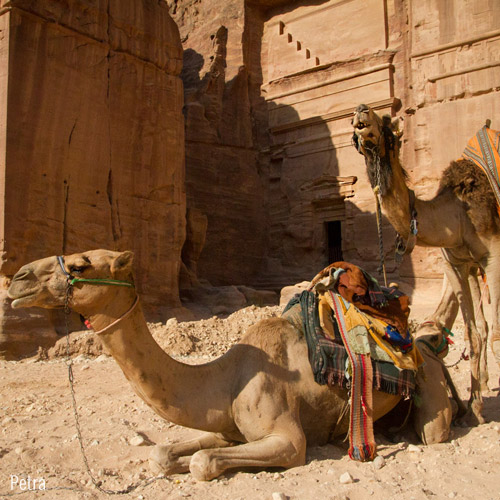 Petra