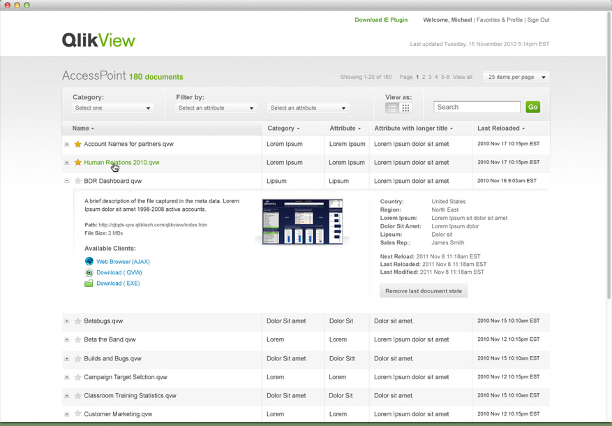 Qlik Access Point page