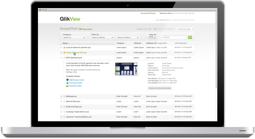 Qlik Access Point on laptop