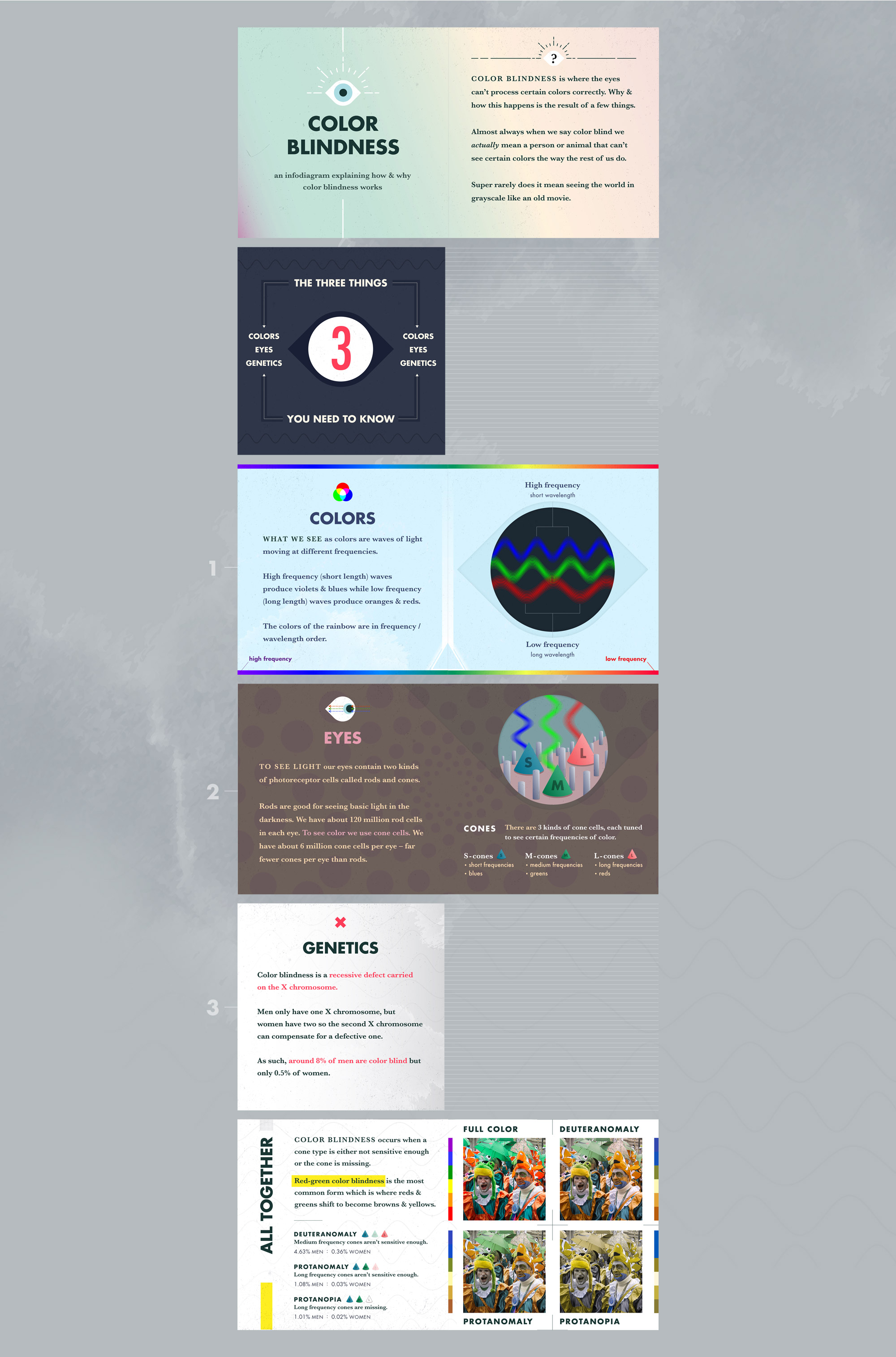 Color Blindness info diagram