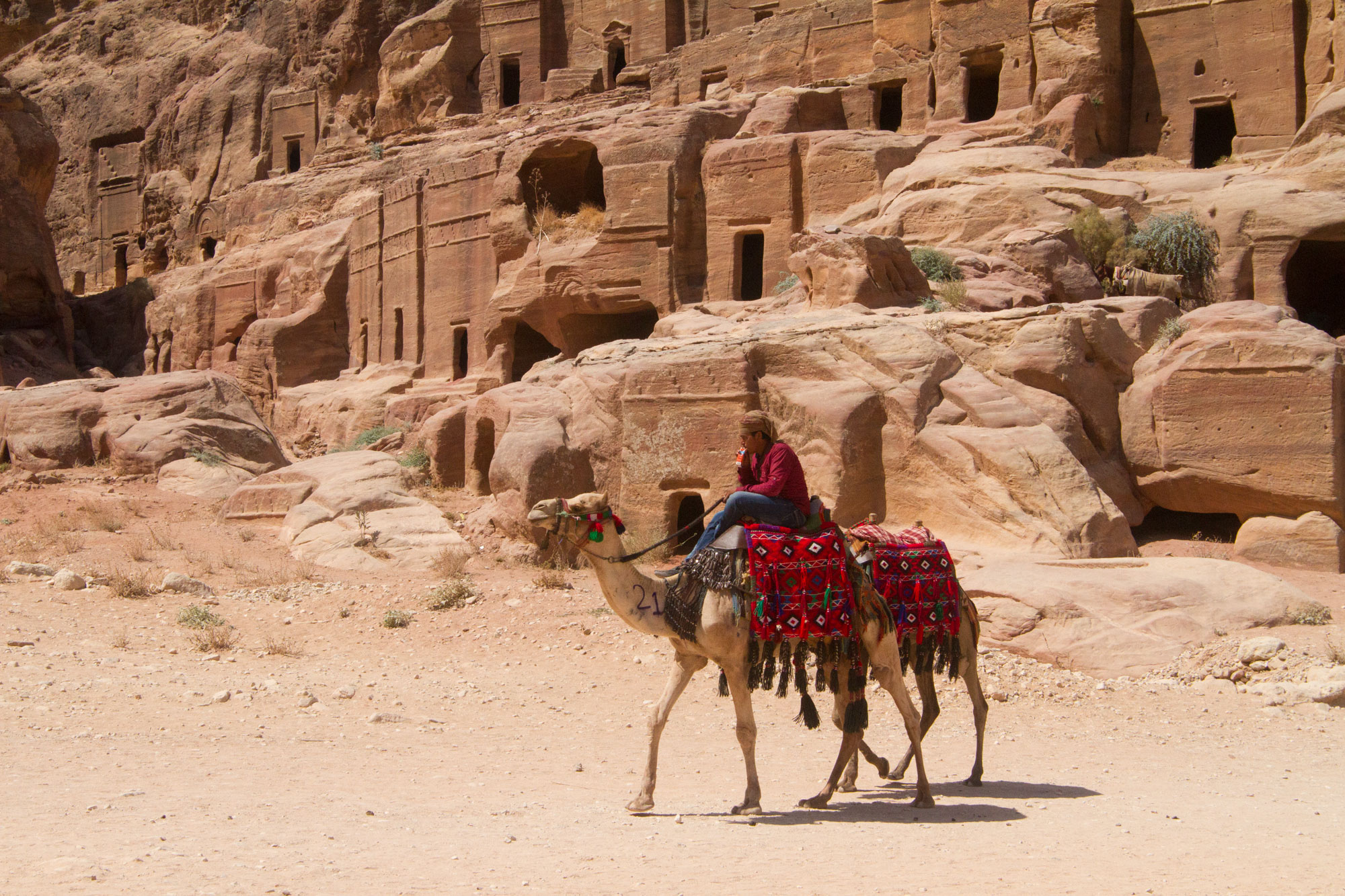 Camel rides at Petra