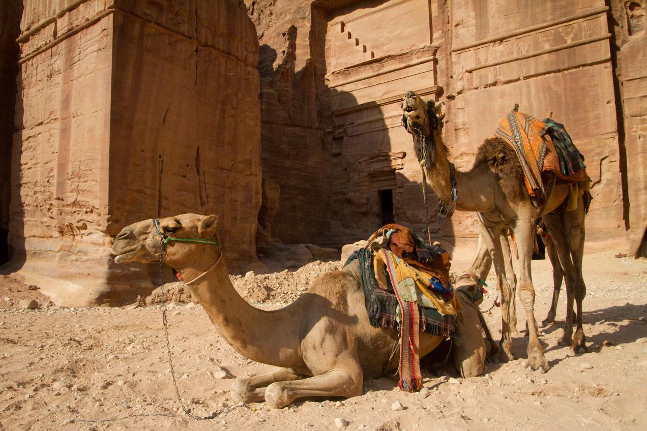 Sunrise across the desert