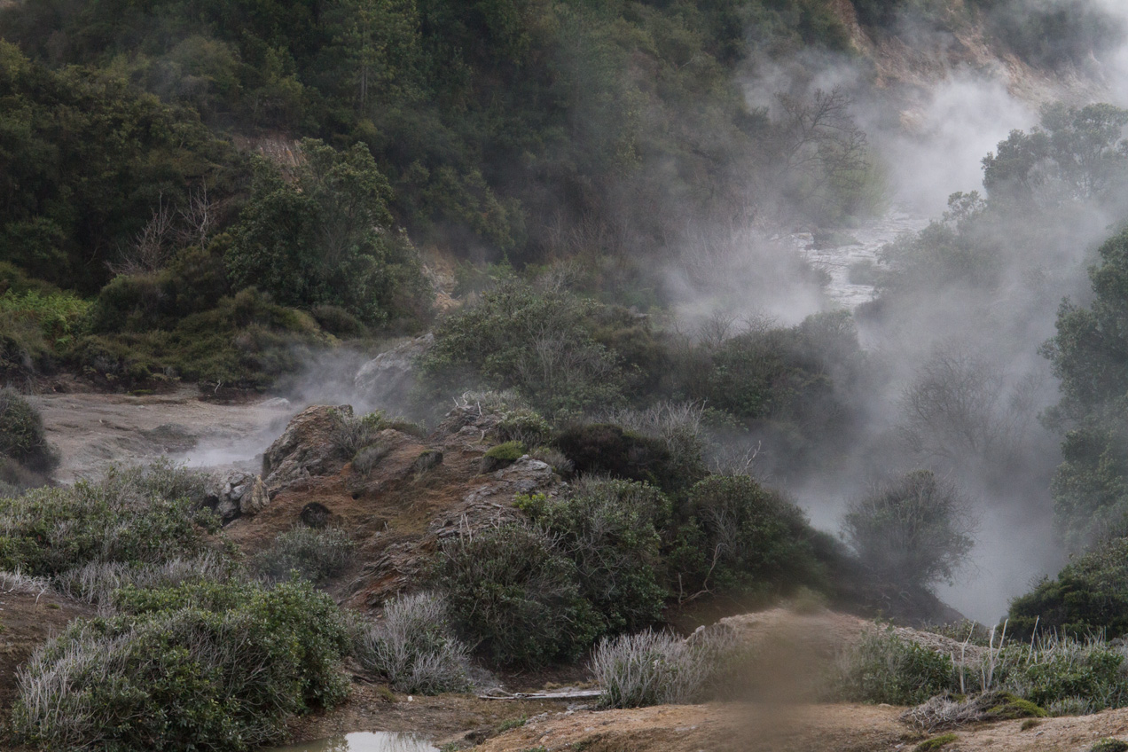 Rotorua