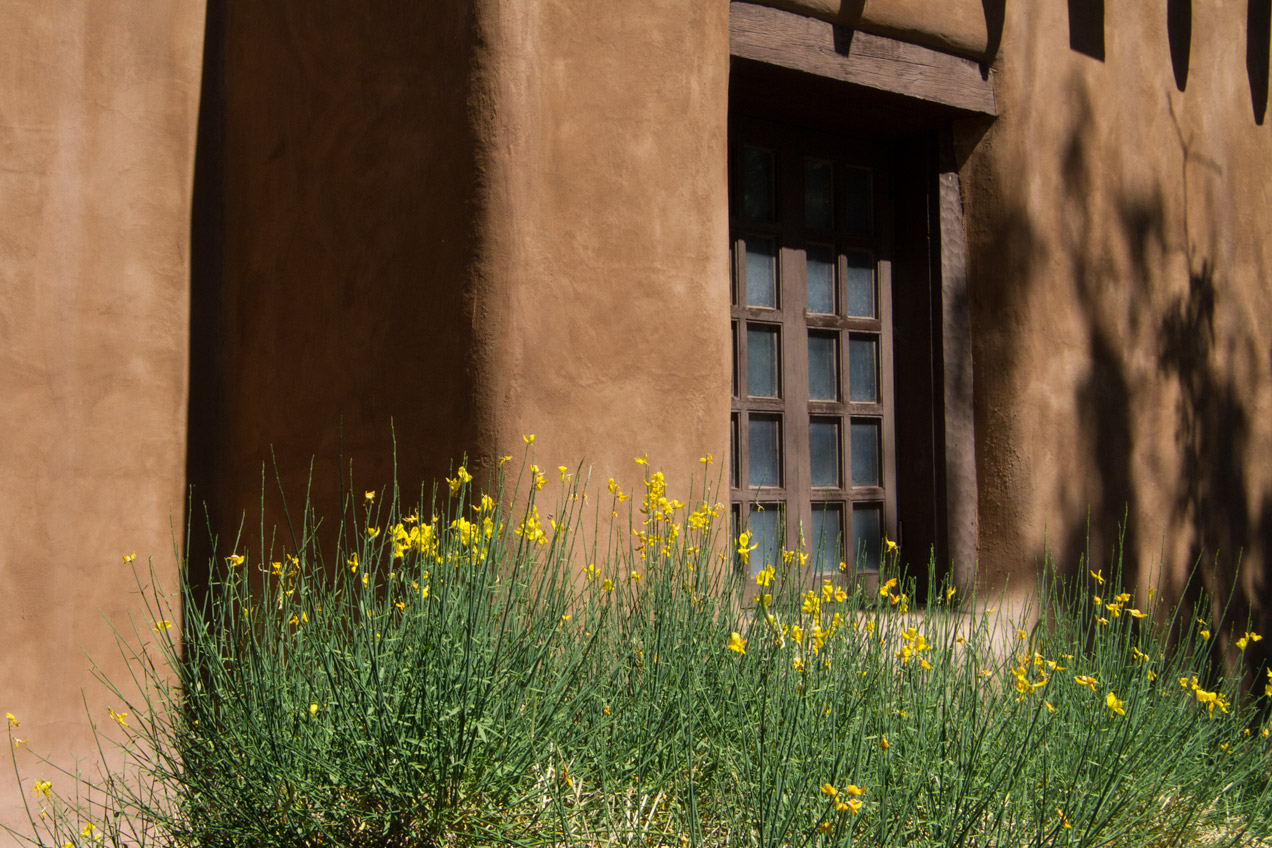 Flowers in Santa Fe