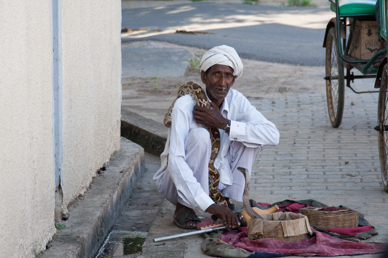 Tourist snake charmer