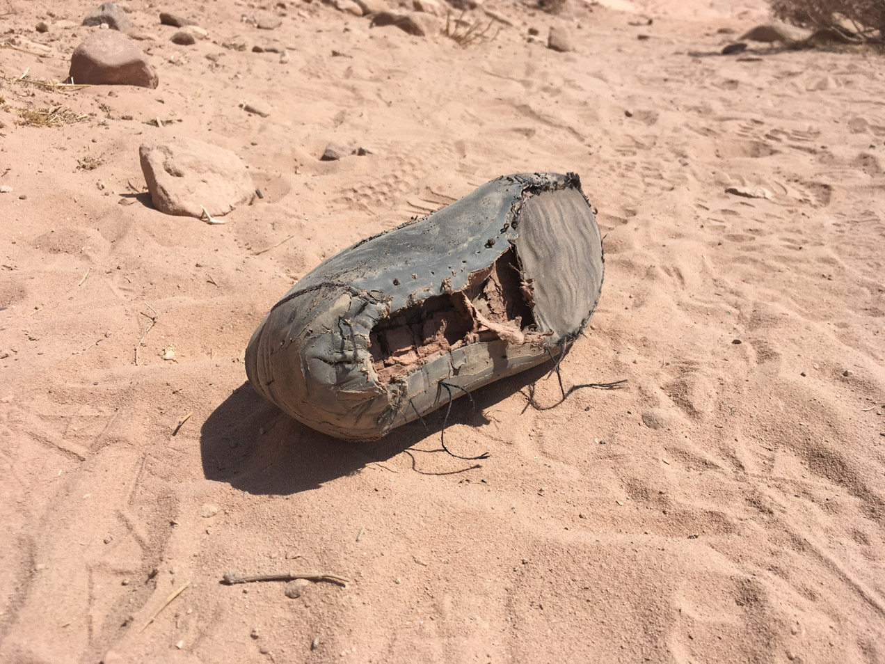 Sunrise across the desert